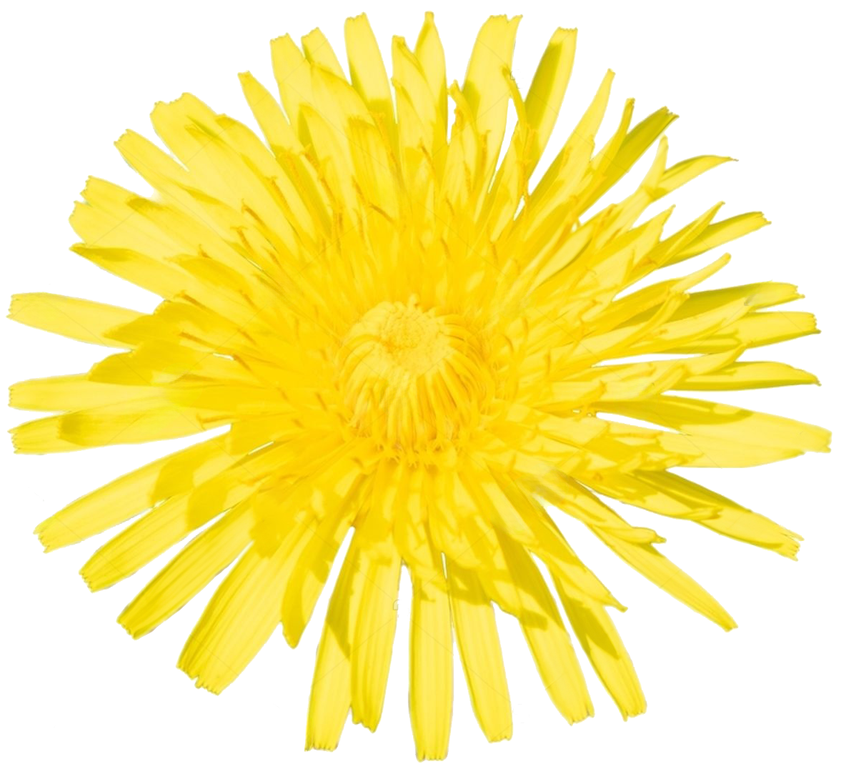 Md21de4d01f75163a39ca7f3686425a7d1737152097843 Md21de4d01f75163a39ca7f3686425a7d1737152097843